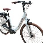 Flanders-e-bike-superior-shimano-steps-E6100