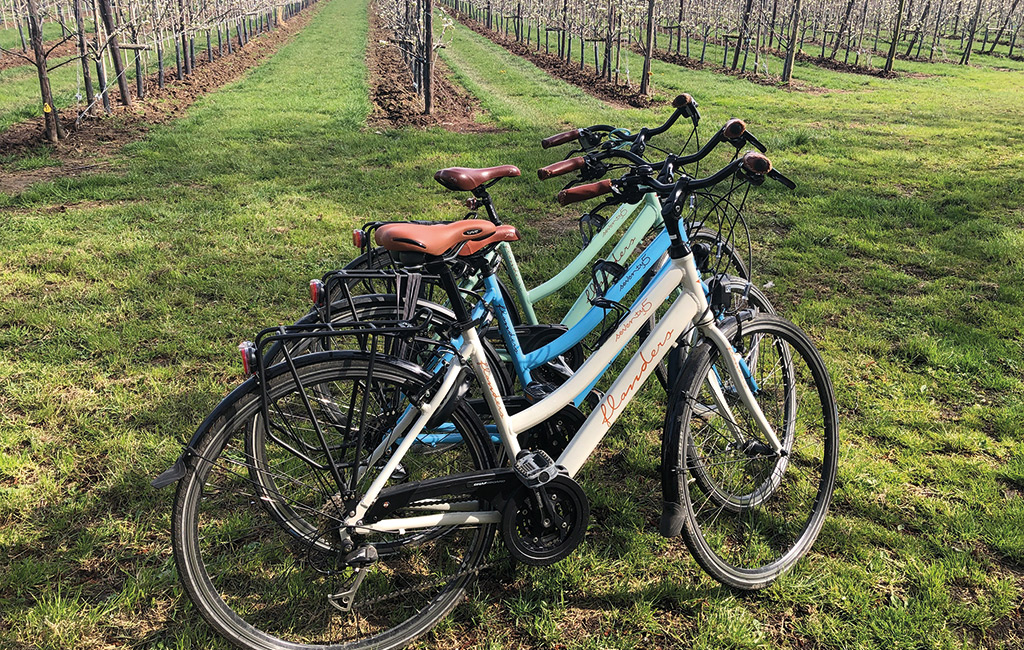 FLANDERS-SPORTFIETSEN2