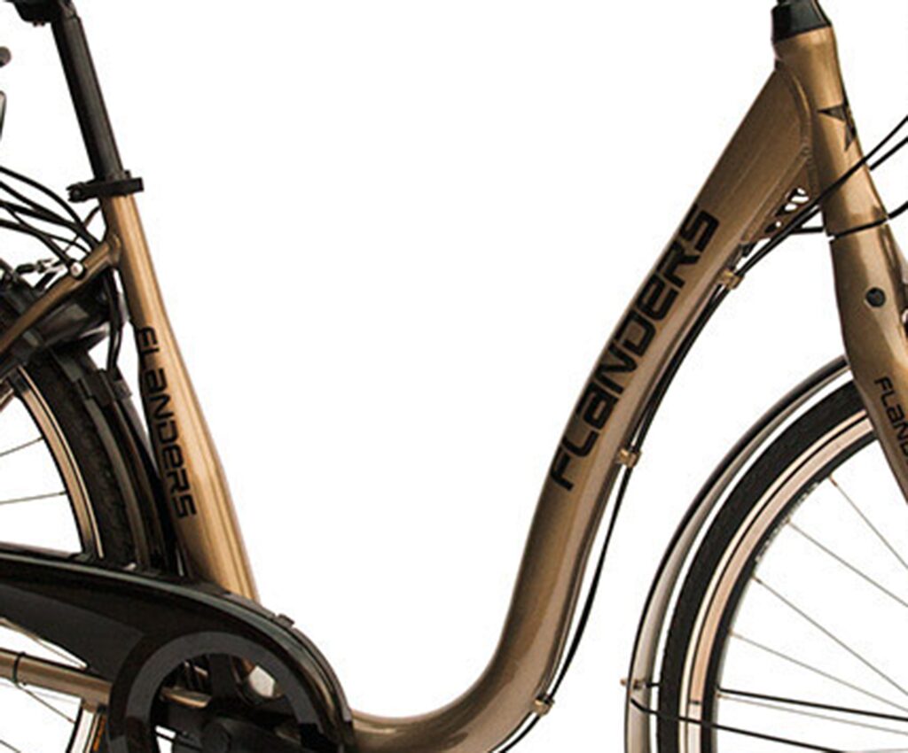 Flanders e-bike Futuris, Bafang, Shimano,Selle Royal, Schwalbe