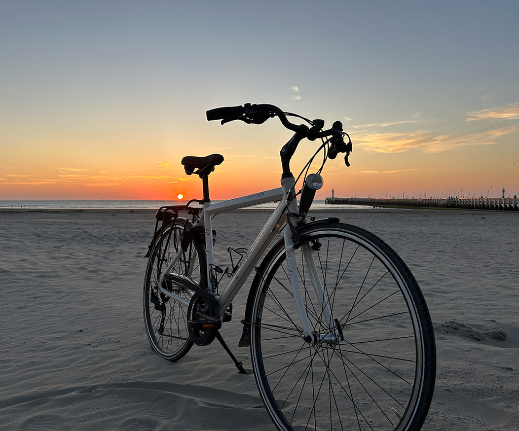 Flanders-RoadRunner-Shimano-Alivio,Rodi,blaster,Sportfiets